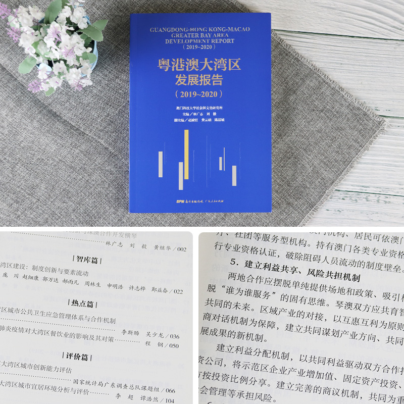 [正版]粤港澳大湾区发展报告(2019—2020)区域经济合作研究报告广东珠海横琴香港澳门发展趋势及政策建议 广东人民高清大图