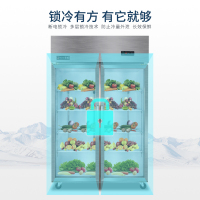 歌迪亚CFR-40B2T 800L 双开门冰箱 商用展示柜 立式陈列柜冰箱 保鲜冷藏柜 超市啤酒饮料柜 不锈钢