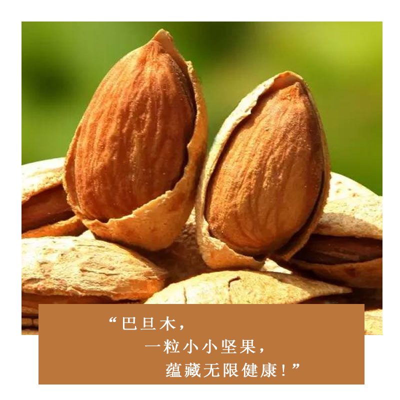 宁百晟巴旦木280g/罐高清大图