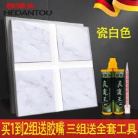 核弹头美缝剂瓷砖地板砖地砖家用填缝剂防水品牌真瓷王环保美缝剂 瓷白色 3组以上默认送工具