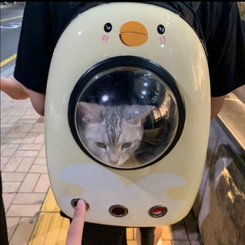 单肩包(8斤内猫或者5斤内狗) 四件套 宠物包太空舱外出便携狗狗包猫咪双肩携带背包猫包背猫猫书包猫笼