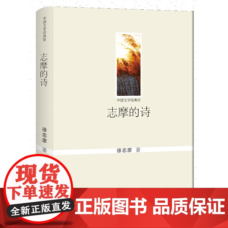 志摩的诗 徐志摩 群众出版社 正版书籍高清大图