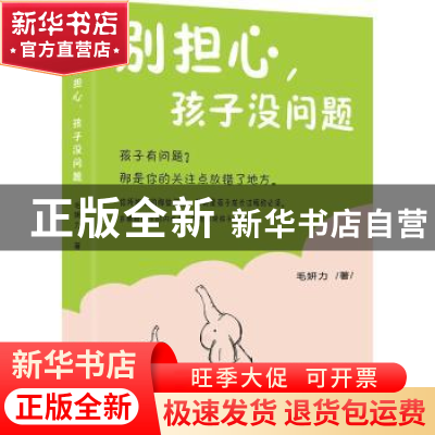 正版 别担心 孩子没有问题 毛妍力著 九州出版社 9787510875564