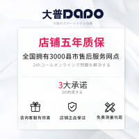 日本大普智能马桶一体机无水箱即热式全自动冲洗烘干家用智能坐便器300mm400mm坑距送货上门