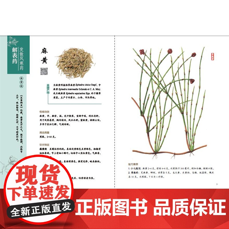 [店]大美本草 身边的中药材高清大图