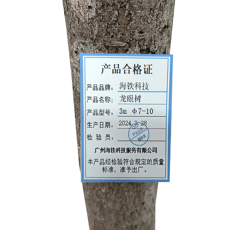 海铁科技龙眼树3m Φ7-10/棵