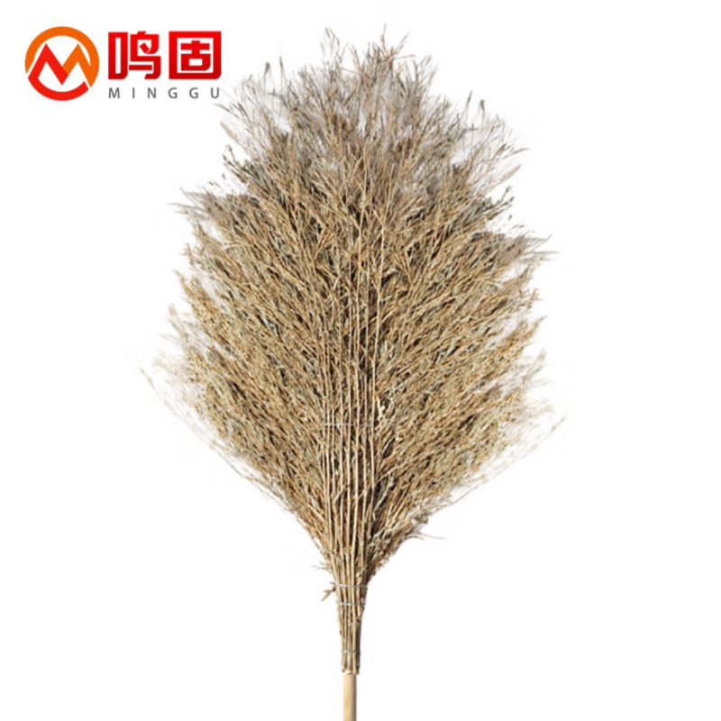 鸣固 大号竹扫帚 大扫帚 扫把 ZJ3391 保洁 一把