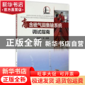 高含硫气田集输系统调试指南