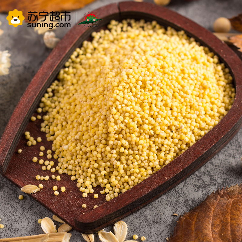 红旭农场 东北原产天然小米455g