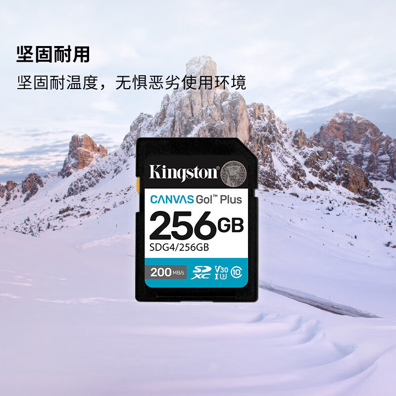 金士顿(Kingston)256GB SD存储卡 U3 V30 相机内存卡 高速sd卡大卡 4K超高清拍摄 读速200M高清大图