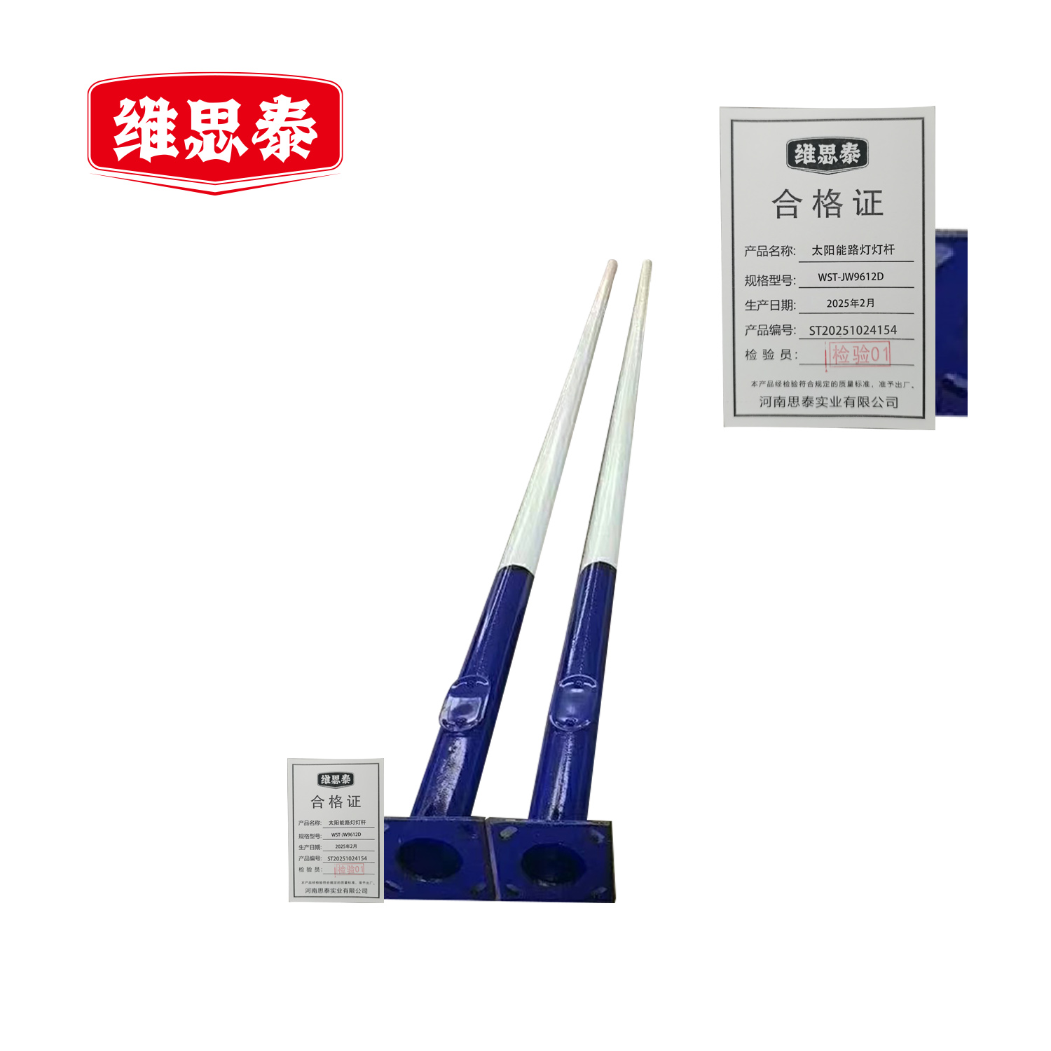维思泰 太阳能路灯灯杆 WST-JW9612D 根高清大图