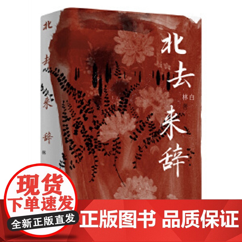 北去来辞 林白 著 林白代表作十周年纪念版 第九届茅盾文学奖提名奖 陈思和 张新颖 张莉 项静诚挚 中国当代小说高清大图