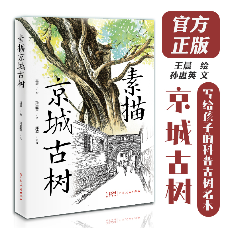 [正版]素描京城古树 王晨绘孙惠英文地域京味儿文化科普古树名木知识延伸北京园林生态广东人民出版社高清大图