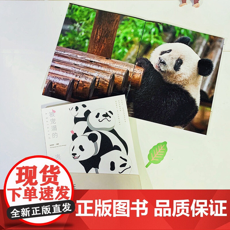 被宠溺的表情 周孟棋 著 童书香香在东京高清大图