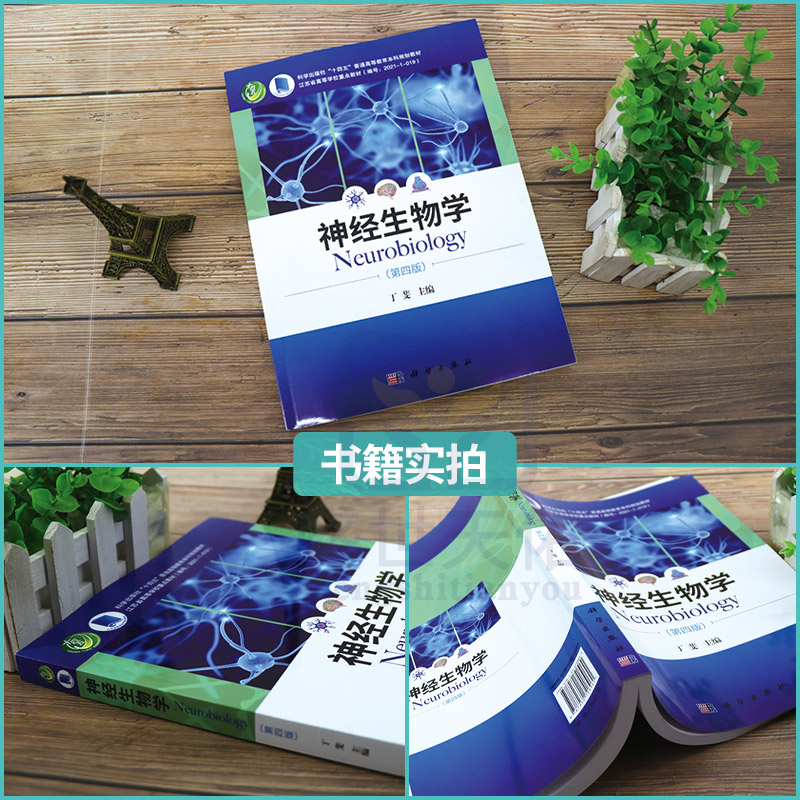 [正版]神经生物学 第4四版 丁斐 主编 神经元与神经胶质细胞 神经发育生物学基础 神经化学和神经药理学基础 978高清大图