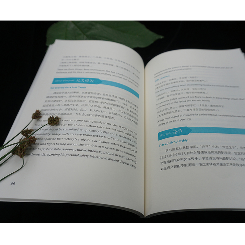 [正版]中华思想文化术语8高清大图