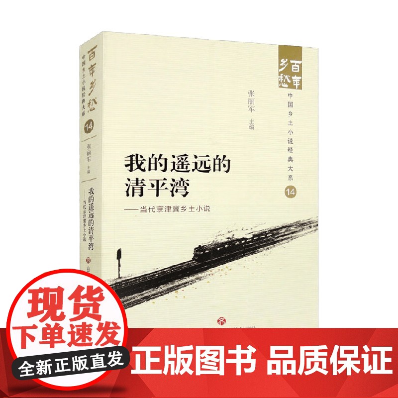 我的遥远的清平湾 当代京津冀乡土小说 张丽军 编著 小说高清大图