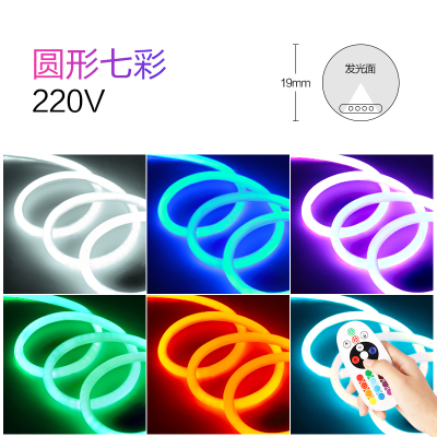 led霓虹灯带户外柔性灯条220V软灯管线灯KTV室外装饰防水长条射灯 220V霓虹灯带[圆形/七彩遥控] 每米价 其它