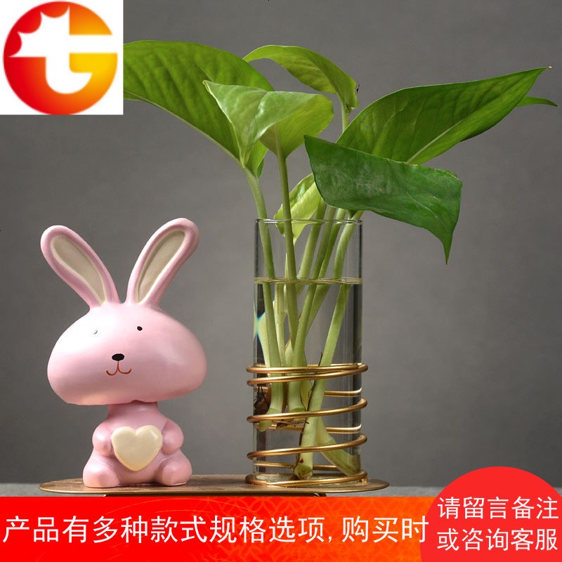 绿萝水培植物玻璃瓶水养透明插花花瓶容器小瓶子器皿客厅装饰摆件