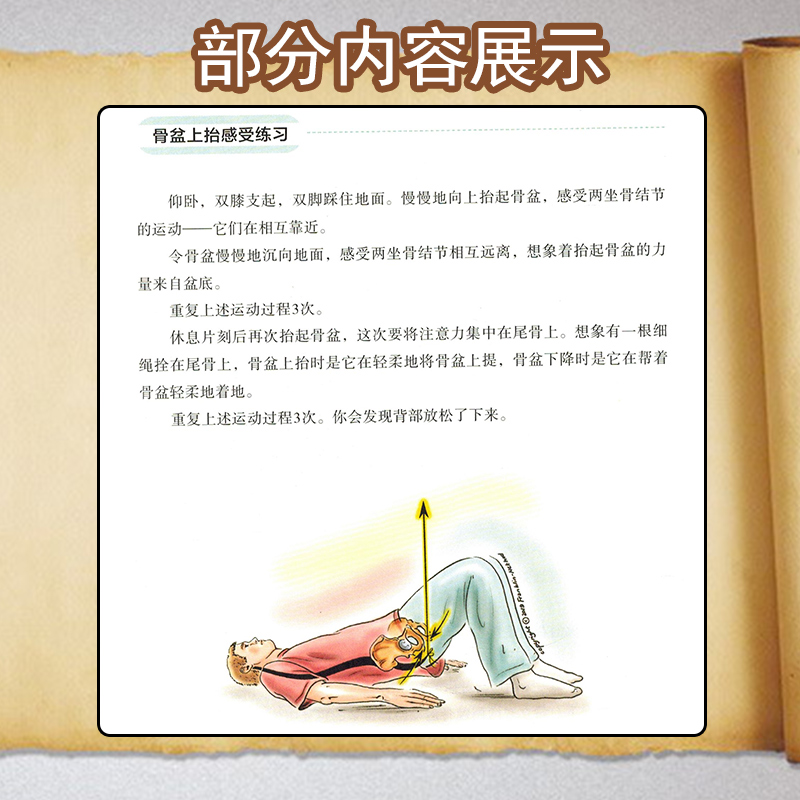 [正版] 富兰克林盆底疗法 骨盆与盆底的解剖学认知及盆底康复训练 庄仲华主译 北京科学技术出版社97875714129高清大图
