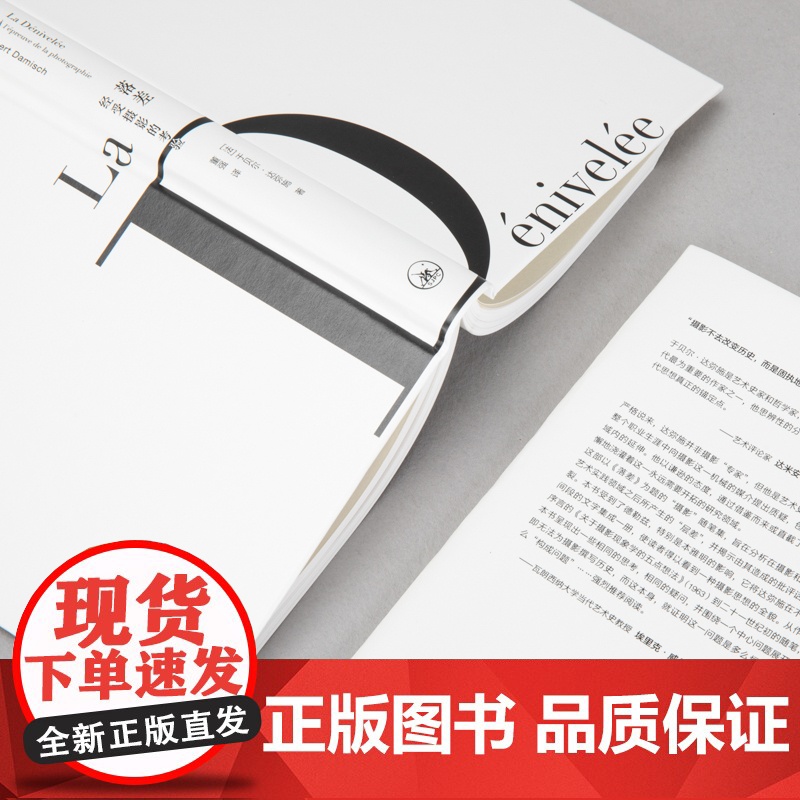 落差:经受摄影的考验 于贝尔·达弥施 著 摄影 艺术批评 摄影小史 云的理论 本雅明 理想国高清大图