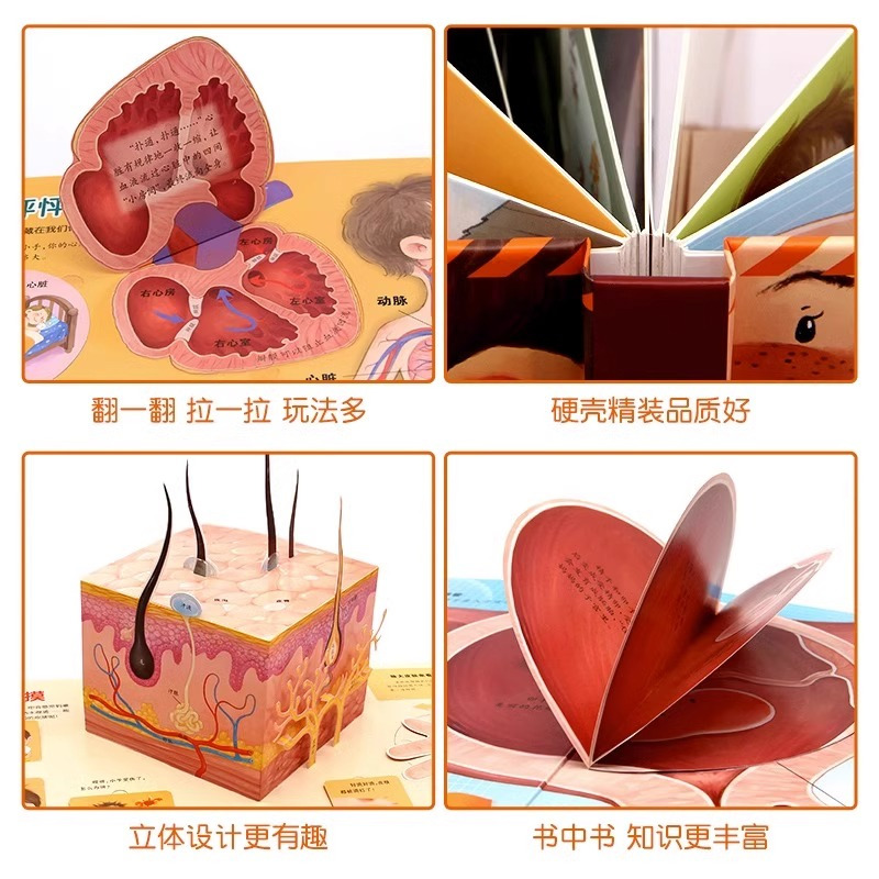 我们的身体3D立体书 [正版]我们的身体立体书儿童3d立体书8岁以上揭秘系列翻翻书2-3-4-6-10岁宝宝绘本书籍幼儿