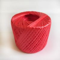 红色2cm-50克试用款 塑料绳 塑料打包绳子 塑料尼龙绳塑料扎绳 塑料捆扎带 捆绑封包绳