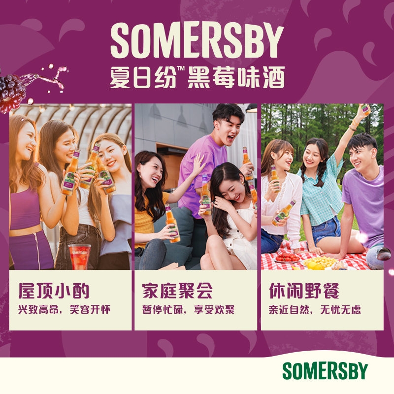 嘉士伯黑莓味酒夏日纷果啤Somersby24瓶整箱装