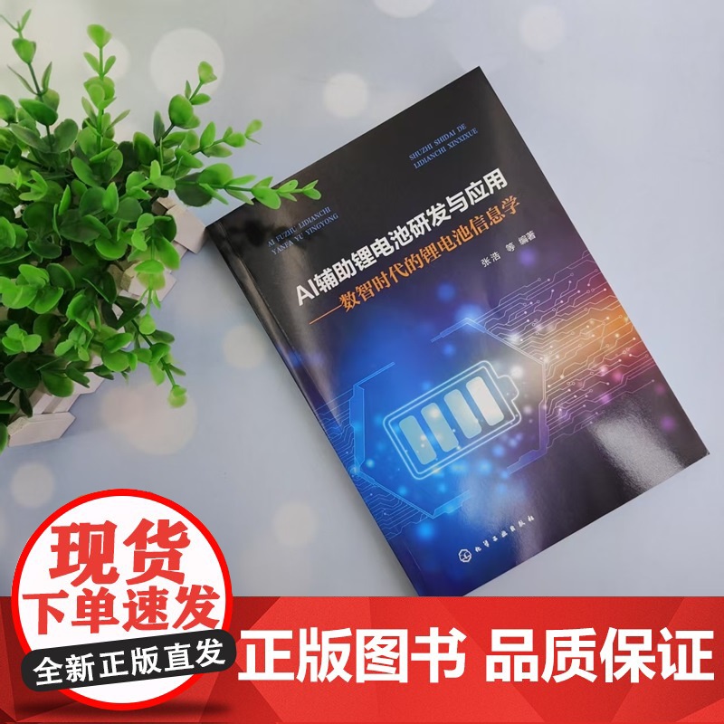 AI辅助锂电池研发与应用——数智时代的锂电池信息学 张浩 等 编 化学工业出版社高清大图