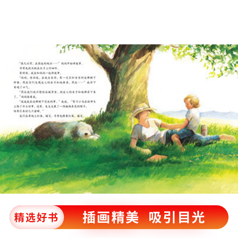 艾莉丝的树 精装 [正版]艾莉丝的树硬壳精装图画书启发绘本环保绘本让孩子学会保护环境被看见的生命与希望生命与自然生命与希高清大图