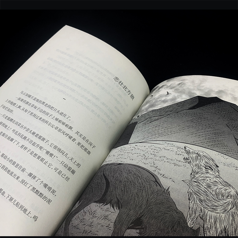 [M]狼王赴死-9787533777647高清大图