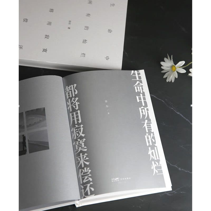 生命中所有的灿烂都将用寂寞来偿还 徐东 中国现当代文学诗歌王潮歌作序 中文书 生命中所有的灿烂都将用寂寞来偿还徐东花城出版社中国现当代文学诗歌