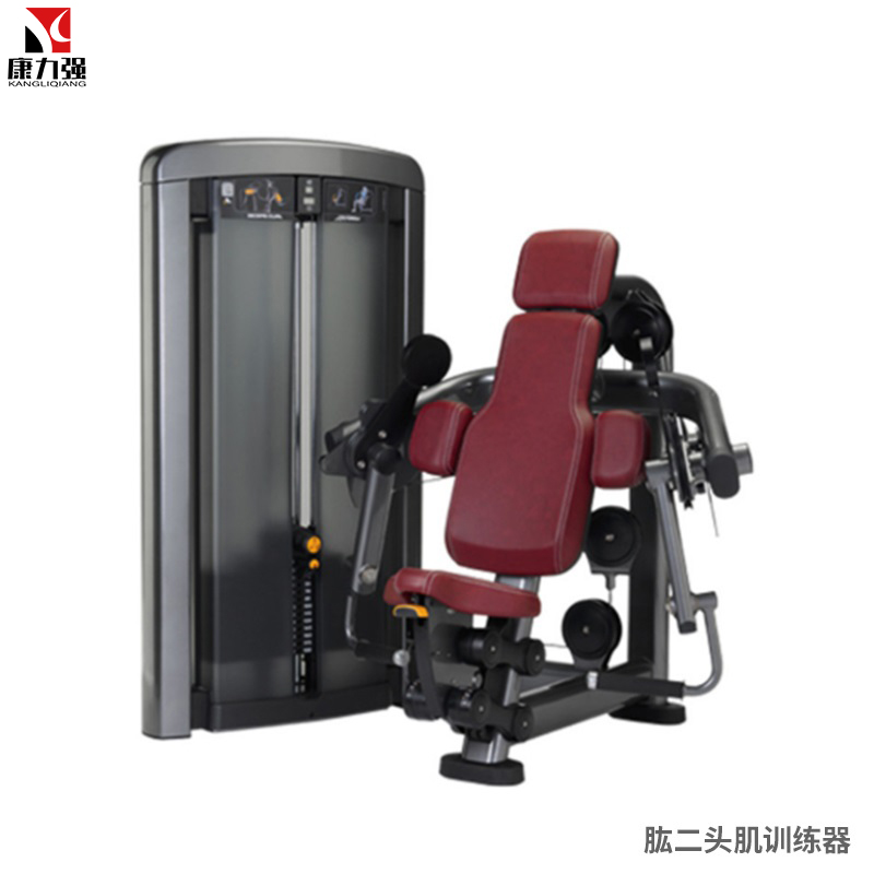 康力强LS509商用坐式肱二头肌手臂弯举练习肌肉专项训练局部型力量器械高清大图