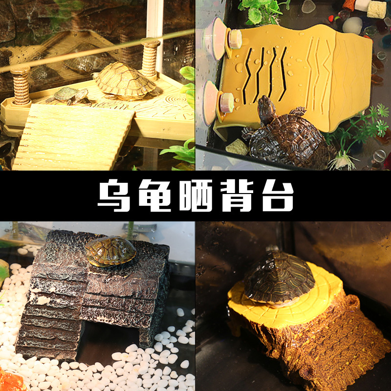 养龟用具 乌龟水龟晒背台 巴西龟龟爬坡浮台 吸盘摆放两用晒台高清大图