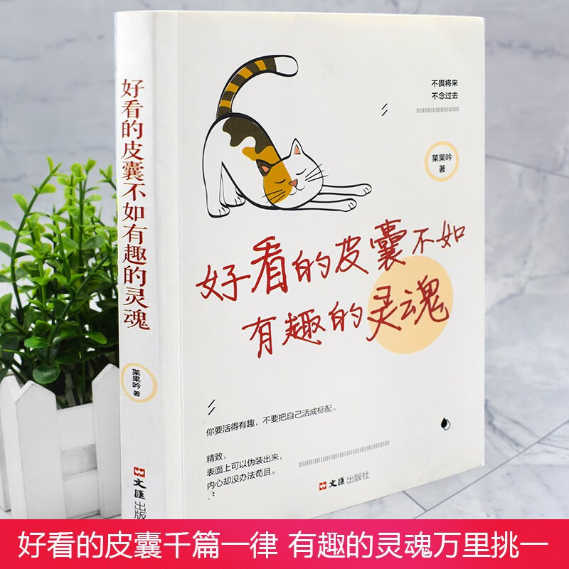 好看皮囊+拖延理由全套2册 [正版]全套2册 拖延的理由千篇一律 自律的信念万里挑一 好看的皮囊不如有趣的灵魂 青春文学高清大图