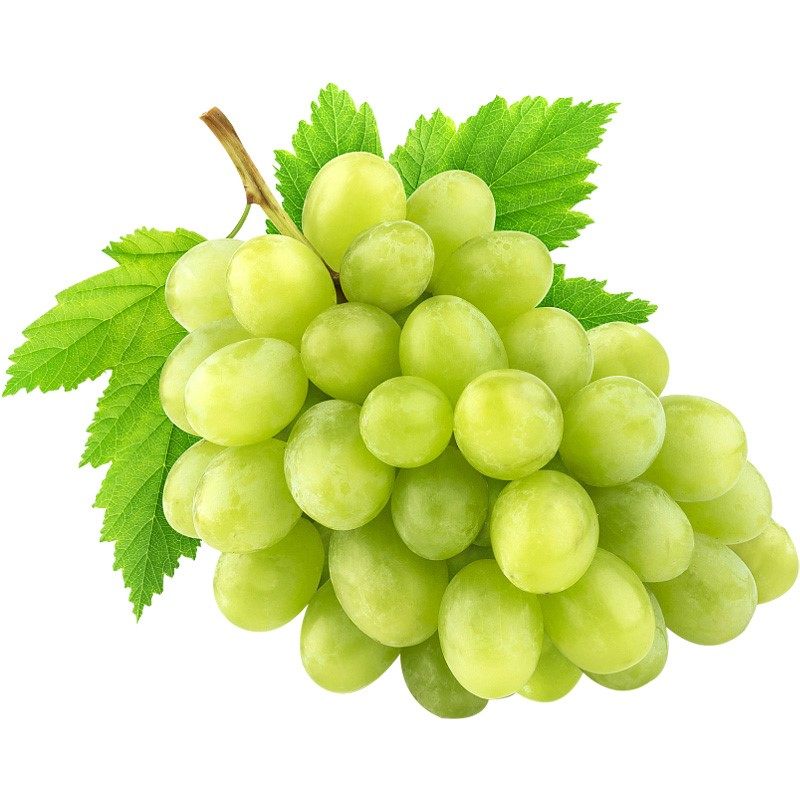 [一贤生鲜]澳洲无籽青提 3斤 进口葡萄 青提子 应