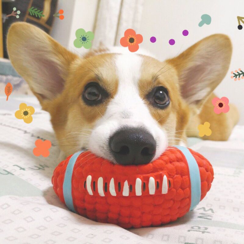 篮球-搪胶材质 适合小犬(0-10斤) 狗狗玩具耐咬狗狗用品宠物用品小狗玩具磨牙玩具训狗神器玩具球