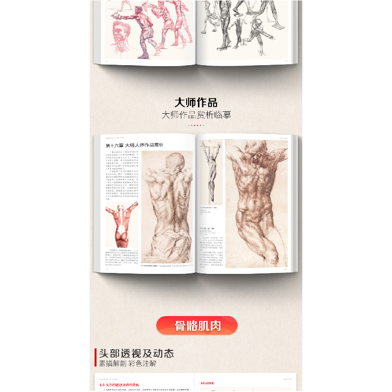 正版新书]全解人体结构杨建飞 编9787551427623高清大图