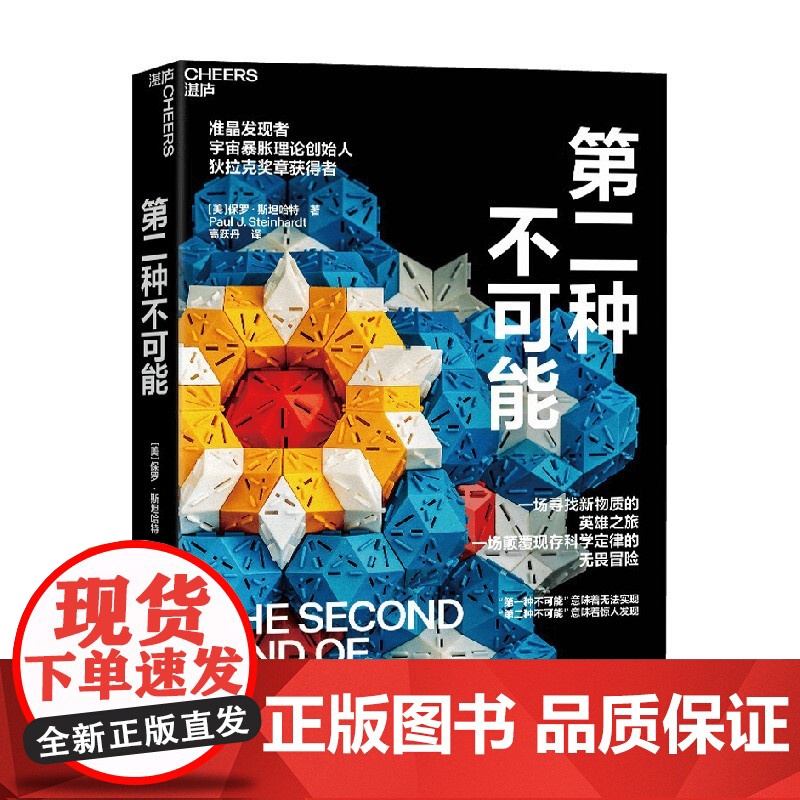 第二种不可能 保罗·斯坦哈特 著 科普读物高清大图