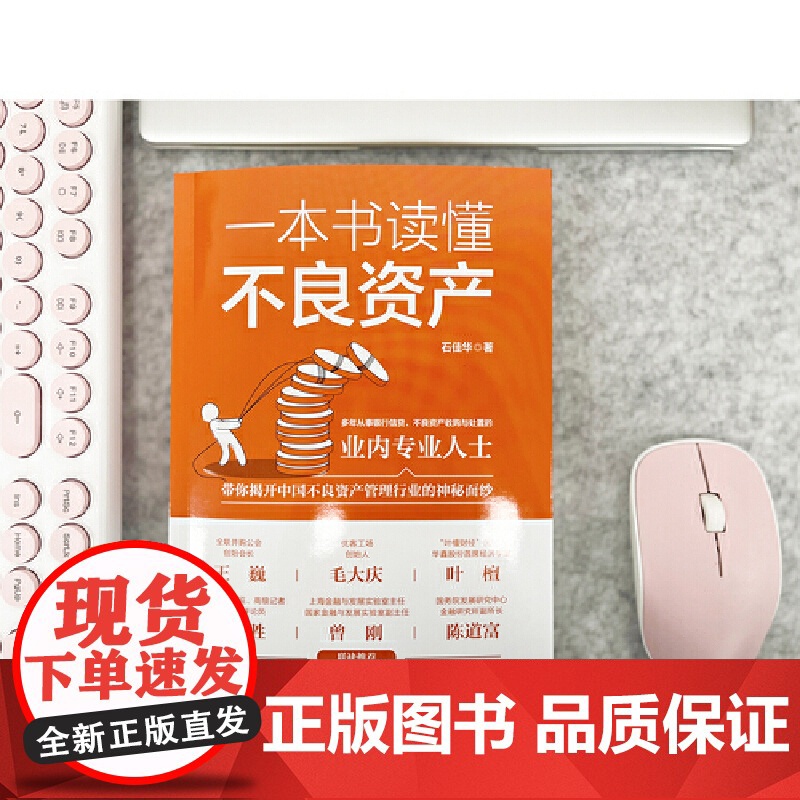 一本书读懂不良资产 王巍 毛大庆 叶檀 舒中胜 曾刚 陈道富联合 中国法制出版社 带你揭开中国不良资产管理行业的神秘高清大图