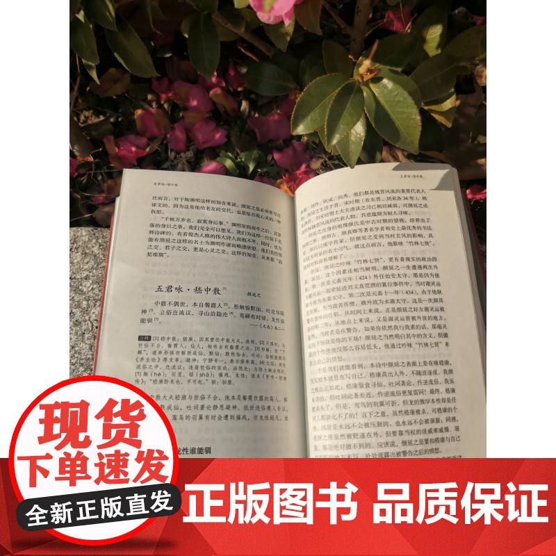 文选新读 中国古代文学名著鉴赏传统经典现代解读杜志强编著上海辞书出版社昭明文选正版图书籍 收录自周代至南朝梁的诗文700高清大图