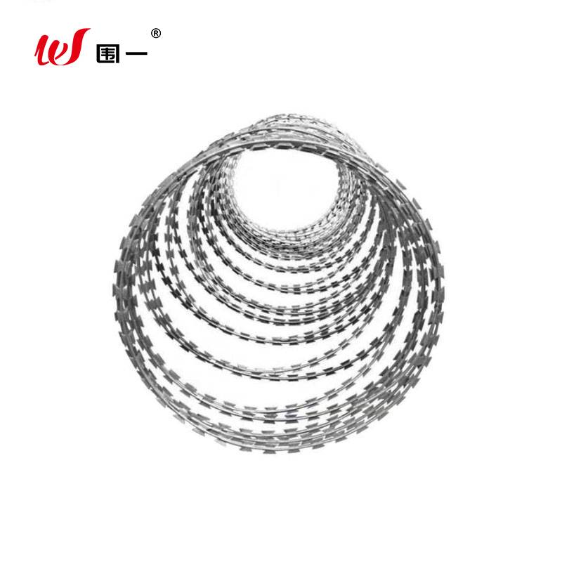 围一 刺丝滚笼 W-01 千克高清大图