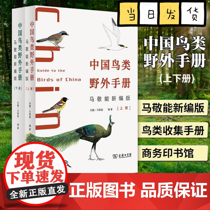 中国鸟类野外手册 马敬能新编版上下册 经典观鸟手册的全新修订 手绘版中国鸟类“新华字典”高清大图