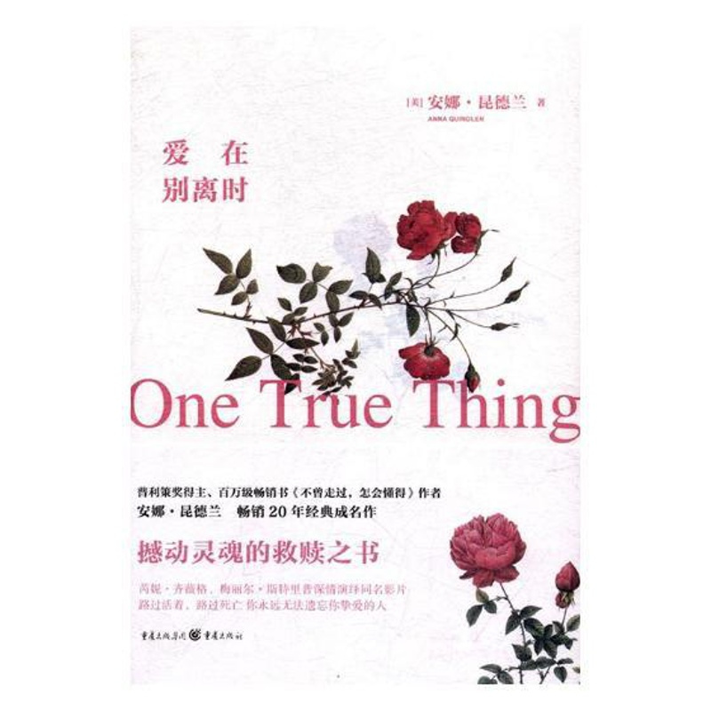 [正版]爱在别离时 安娜·昆德兰 重庆出版社 中国现当代随笔 书籍