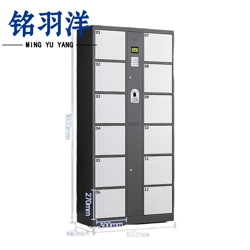 铭羽洋 存包柜12门指纹台
