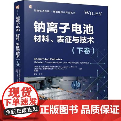 钠离子电池 材料表征与技术 下卷 胡勇胜 谢飞 智能电动汽车新能源汽车储能技术应用书籍 锂离子电池