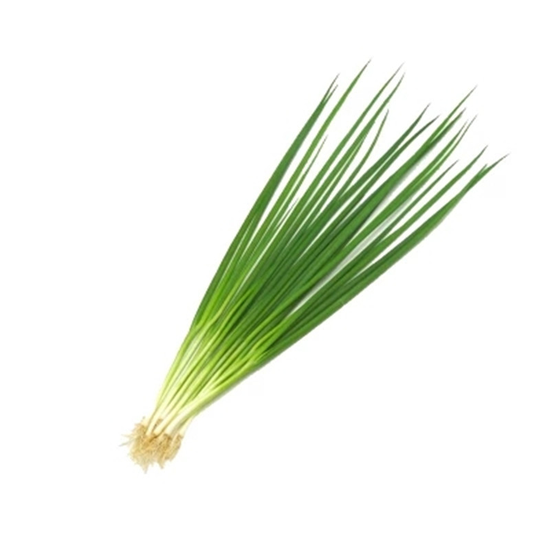 新鲜小葱东北特产东北小葱农家肥白露葱1kg2斤参数
