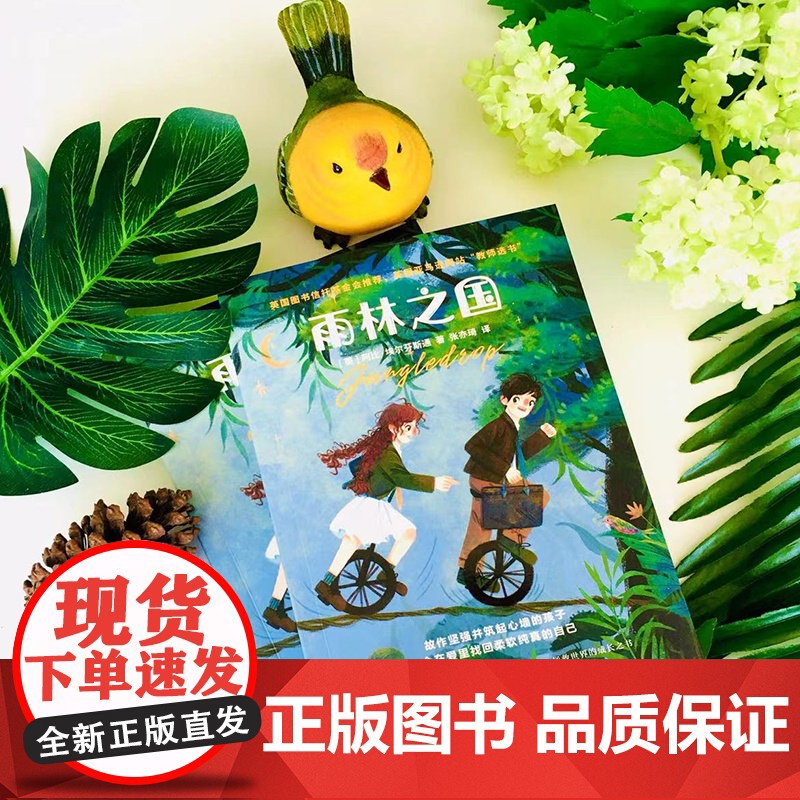 雨林之国 走进小主人公温暖勇敢的内心世界 儿童文学经典故事书6-9-12岁课外读物高清大图