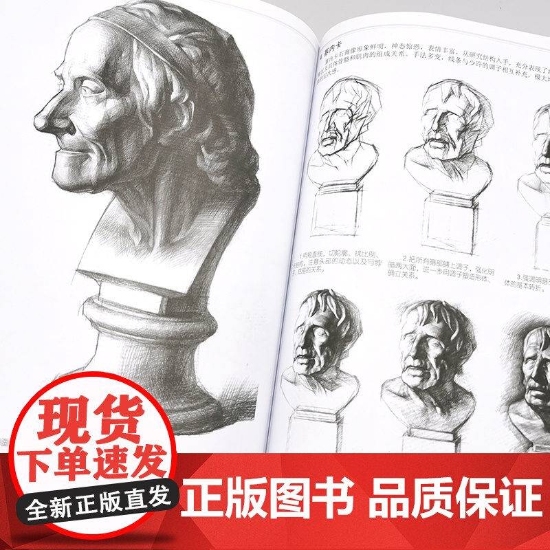 正版 素描基础教程 张恒国 素描零基础初自学入门教程材书籍 铅笔手绘画画册 零基础初学自学起步石膏几何体静物结构铅笔手绘高清大图