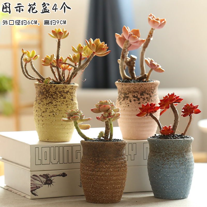 多肉花盆陶瓷创意复古个性植物粗陶室内小花盆大口径古达花盆容器水墨画六个